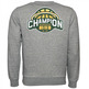 Champion Basketball Graphic Crewneck Sweatshirt "Washington"