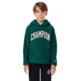 Champion BOYS' FLEECE POLAR HOODIE SCRIPT LOGO FOREST "GREEN"