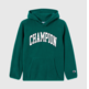 Champion BOYS' FLEECE POLAR HOODIE SCRIPT LOGO FOREST "GREEN"