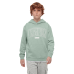 Champion Boys’ Hooded Sweatshirt with Puff Print "Honeydew"