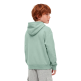 Champion Boys’ Hooded Sweatshirt with Puff Print "Honeydew"