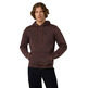 Champion Men’s Washed Fleece Hoodie Icons "Brown"