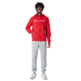 Champion bestickt Big Logo Fleece Full-Zip Hoodie "Red"