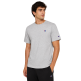 Champion Icons Crewneck Relaxed Fit T-shirt "Grey"