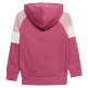 Champion Kids Colour Block Embroidery Logo Pullover Hoodie "Silken Raspberry-Pink"