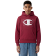 Champion Kids Graphic Logo Powerblend Fleece Hooded "Bordeaux"