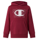 Champion Kids Graphic Logo Powerblend Fleece Hooded "Bordeaux"