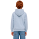 Champion Kids Graphic Logo Powerblend Fleece Hooded "Light Steel Blue"