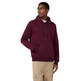 Champion Men’s Fleece Hoodie With Big Embroidered Logo Icons "Burgundy"
