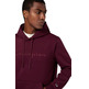 Champion Men’s Fleece Hoodie With Big Embroidered Logo Icons "Burgundy"