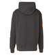 Champion Rochester Future Care Kapuzenpullover "Lead Gray"