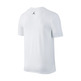 Jordan Camiseta Air Jordan 5 Toggle (100/weiß/metallic gold/schwarz)