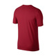 Jordan Dry Flight Foto Basketball T-Shirt (687)