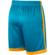 Jordan Franchise Shimmer Basketball Shorts