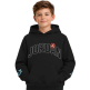 Jordan Kids Dynasty Fleece Terry Hoodie "Black"