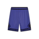 Jordan Kids JDB Air Sport Diamond Shorts "Purple Comet"
