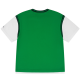 Jordan Kids JDB Dinasty Jersey T-shirt "Lucky Green"
