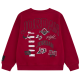 Jordan Kids JDB MJ Dynasty Fleece Terry Crew "Gym Red"