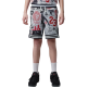 Jordan Kids JDB Printed Sport Diamond Shorts "Neutral Grey"