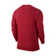 Jordan Seasonal Graphic Crew Sweatshirt (687/gym rot/weiß)