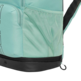 Mochila Nike Varsity Elite "Cannon"
