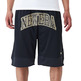 Neue Era Arch Logo Mesh Shorts "Black"