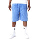 Neue Era Arch Logo Mesh Shorts "Blau"