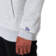 Neu Era NBA Charlotte Hornets Team Logo Regular Hoody