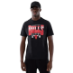 New Era NBA Chicago Bulls Arch Graphic Regular Tee "Black"