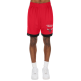New Era NBA Chicago Bulls H2 Mesh Short "Red"