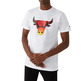 Neuzeit NBA Chicago Bulls Summer City Infill