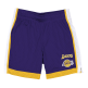 New Era NBA L.A Lakers H2 Mesh Short "Purple"