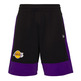 Neu Era NBA New L.A. Lakers Colour Block