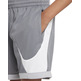 Nike Dri-FIT Basketball Shorts Jungs "Smoke Grey"