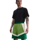 Nike Icon Dri-FIT 15 cm Basketball Shorts "Chlorophyll"