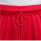 Nike Icon Dri-FIT Basketball Shorts "University Red"