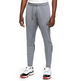 Dri-FIT Jordan Air Pant "Gray"