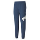 Puma Big Logo Hosen TR