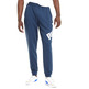 Puma Big Logo Hosen TR