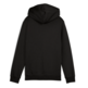 Puma ESS 2 COLOR Logo Hoodie FL "Black-Gold Moon"