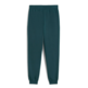 Puma ESS 2 COLOR Logo Sweatpants "Green Terrain"