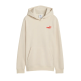 Puma ESS LOGO LAB Brand Back Graphic Hoodie FL B "Alpine Snow"