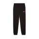 Puma Mädchen ESS+ Logo Pullover FL G "Schwarz"