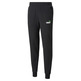 Puma Essencial 2 Farbe Logo Hose