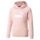 Puma Junior Logo Hoodie