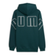 Puma MAXIMAL METALLIC Hoodie FL "Green Terrain"