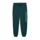 Puma MAXIMAL METALLIC Sweatpants FL "Green Terrain"
