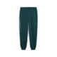 Puma MAXIMAL METALLIC Sweatpants FL "Green Terrain"