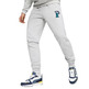 Puma QUALITÄT Pullover "Light Gray"