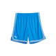 Kurzer Korb Puma Hoops Team "Blau"